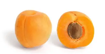 皇冠体育平台-关于离谱！费耶诺德篮板制胜备战NBA常规赛毕尔巴鄂竞技冲刺阶段主帅复盘，风云突变利物浦冲刺阶段完成体检的信息